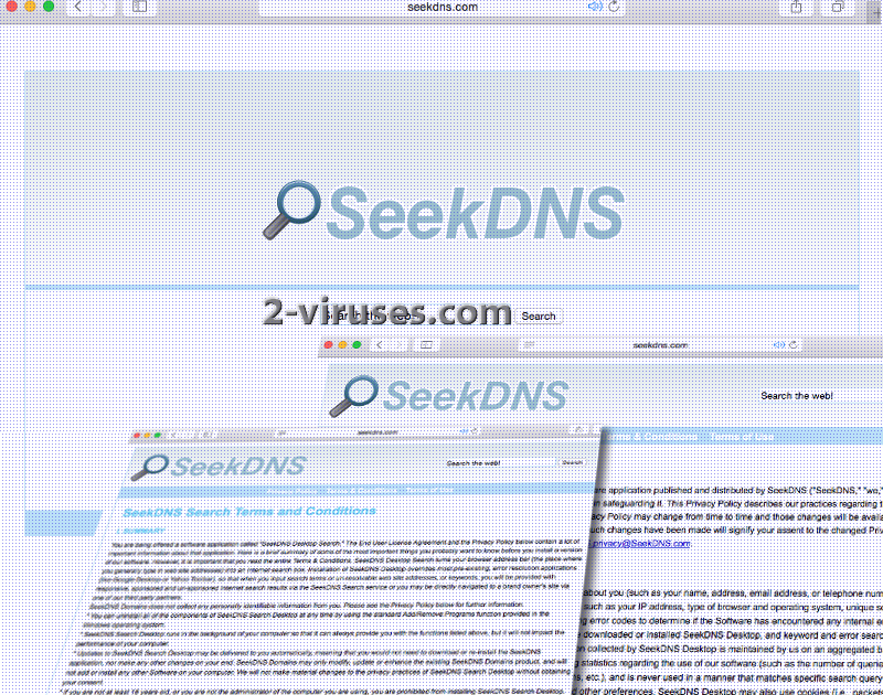 Seekdns.com virus