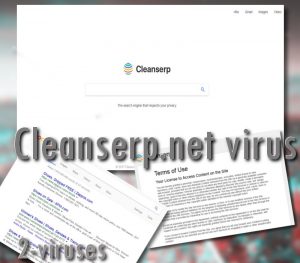 Cleanserp.net virus